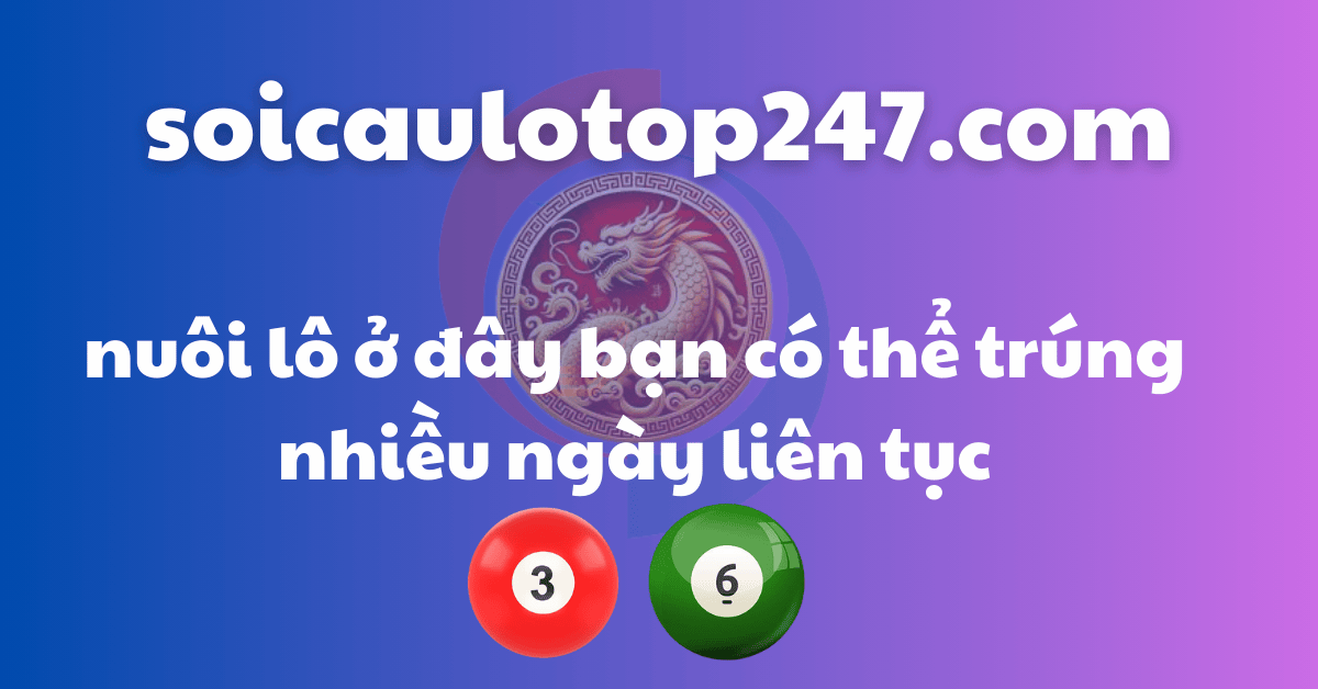 Nuôi lô ở soi cầu lô top 247 là phương án phù hợp với bạn