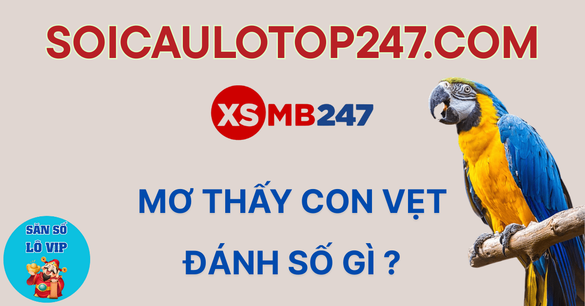 mơ thấy con vẹt có điềm báo gì