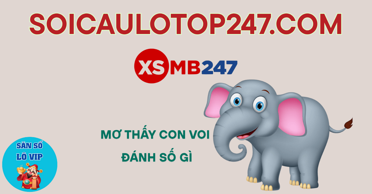 mơ thấy con voi đánh số gì