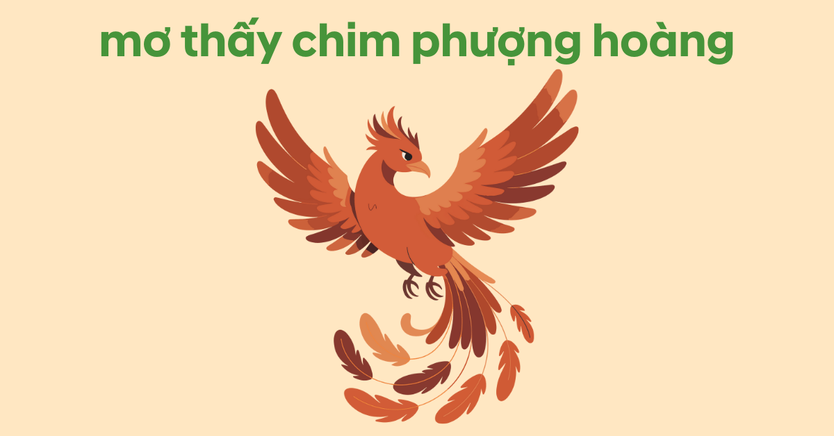 mơ thấy chim phượng hoàng có ý nghĩa gì